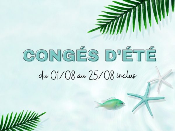 Les Maisons d'Elodie - fermeture estivale - immobilier Valence